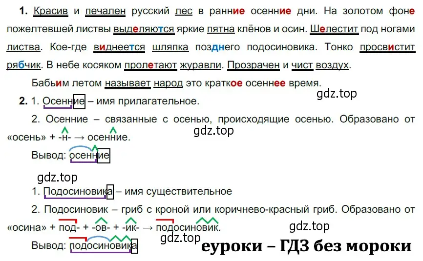 Решение 3. номер 433 (страница 24) гдз по русскому языку 5 класс Разумовская, Львова, учебник 2 часть