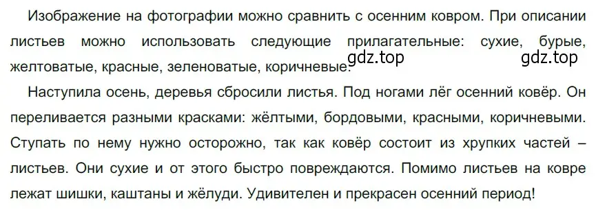 Решение 3. номер 44 (страница 25) гдз по русскому языку 5 класс Разумовская, Львова, учебник 1 часть