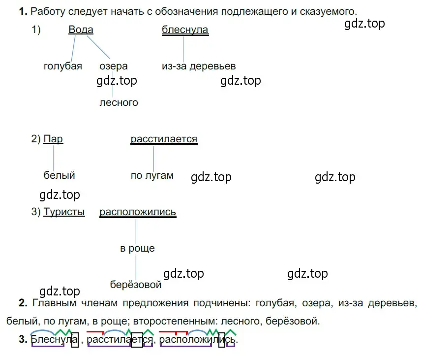 Решение 3. номер 447 (страница 28) гдз по русскому языку 5 класс Разумовская, Львова, учебник 2 часть