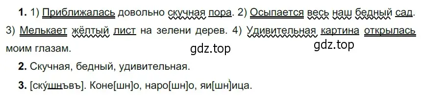 Решение 3. номер 458 (страница 31) гдз по русскому языку 5 класс Разумовская, Львова, учебник 2 часть