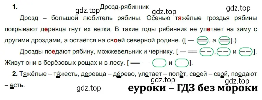 Решение 3. номер 479 (страница 37) гдз по русскому языку 5 класс Разумовская, Львова, учебник 2 часть