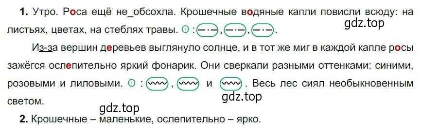 Решение 3. номер 489 (страница 40) гдз по русскому языку 5 класс Разумовская, Львова, учебник 2 часть