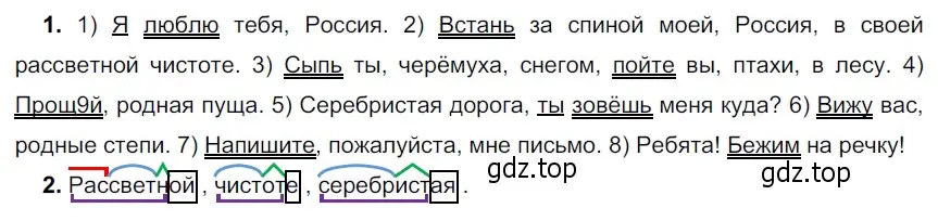 Решение 3. номер 504 (страница 45) гдз по русскому языку 5 класс Разумовская, Львова, учебник 2 часть