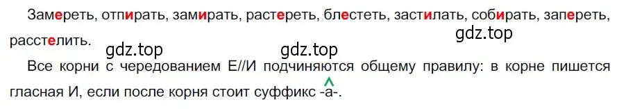 Решение 3. номер 593 (страница 75) гдз по русскому языку 5 класс Разумовская, Львова, учебник 2 часть