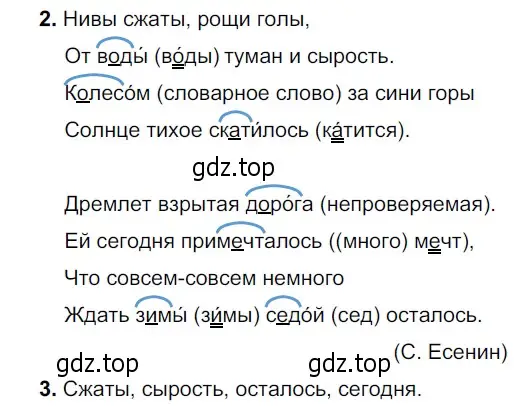 Решение 3. номер 82 (страница 36) гдз по русскому языку 5 класс Разумовская, Львова, учебник 1 часть