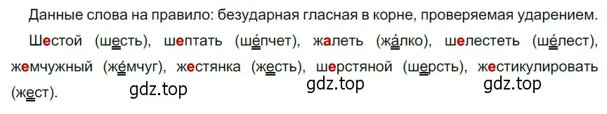 Решение 3. номер 97 (страница 41) гдз по русскому языку 5 класс Разумовская, Львова, учебник 1 часть