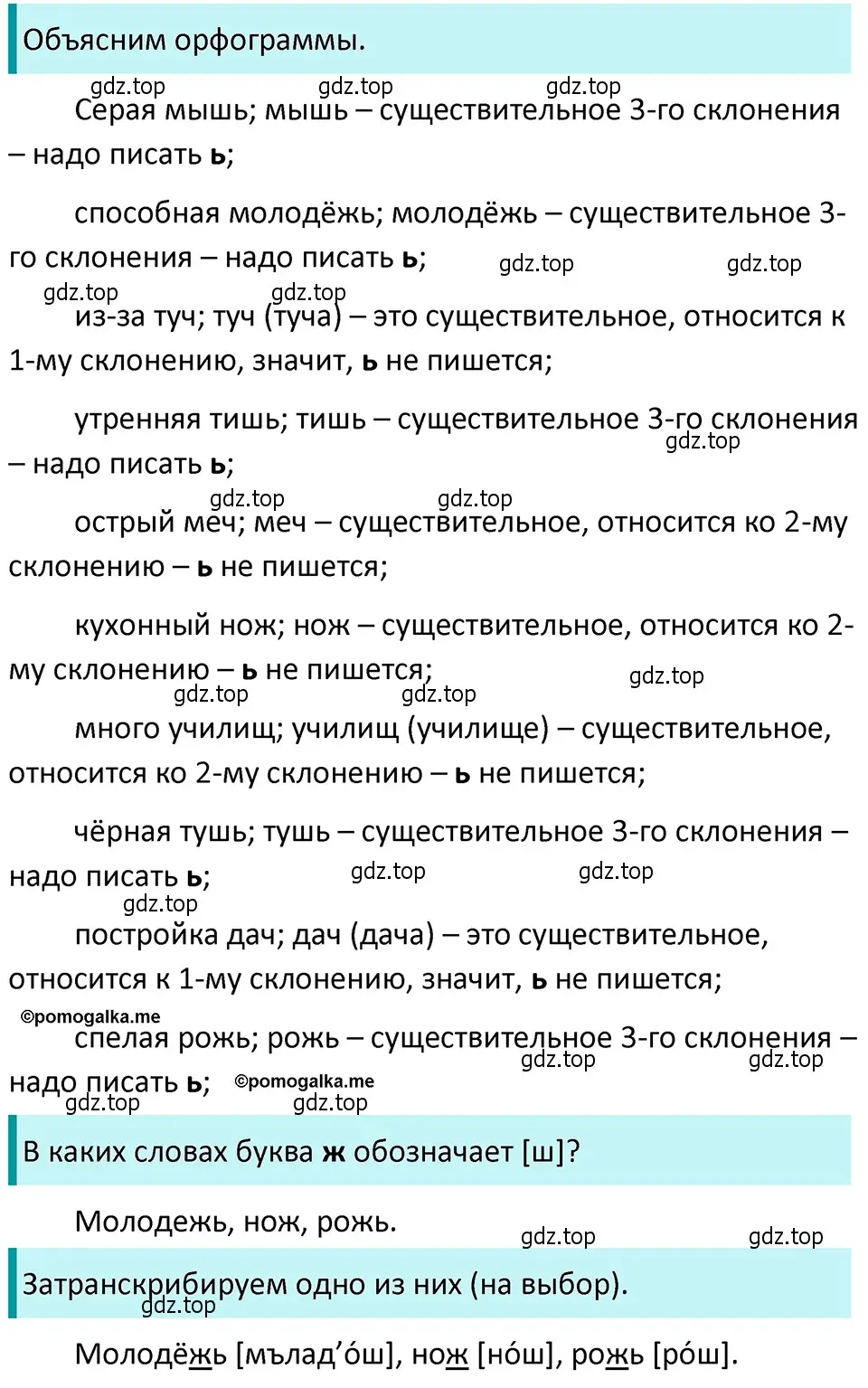 Решение 4. номер 100 (страница 42) гдз по русскому языку 5 класс Разумовская, Львова, учебник 1 часть