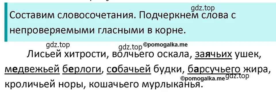 Решение 4. номер 111 (страница 45) гдз по русскому языку 5 класс Разумовская, Львова, учебник 1 часть