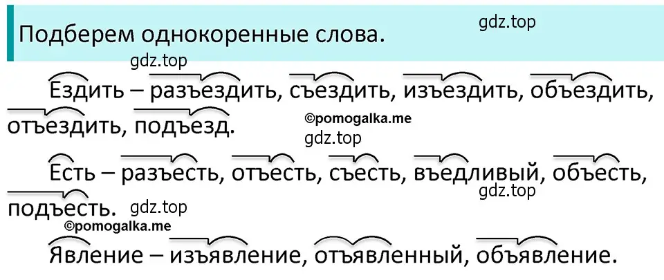 Решение 4. номер 113 (страница 45) гдз по русскому языку 5 класс Разумовская, Львова, учебник 1 часть