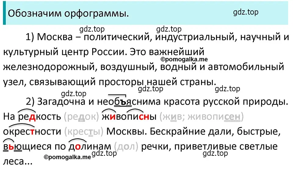 Решение 4. номер 114 (страница 45) гдз по русскому языку 5 класс Разумовская, Львова, учебник 1 часть