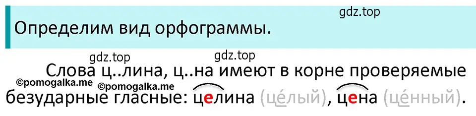 Решение 4. номер 123 (страница 48) гдз по русскому языку 5 класс Разумовская, Львова, учебник 1 часть