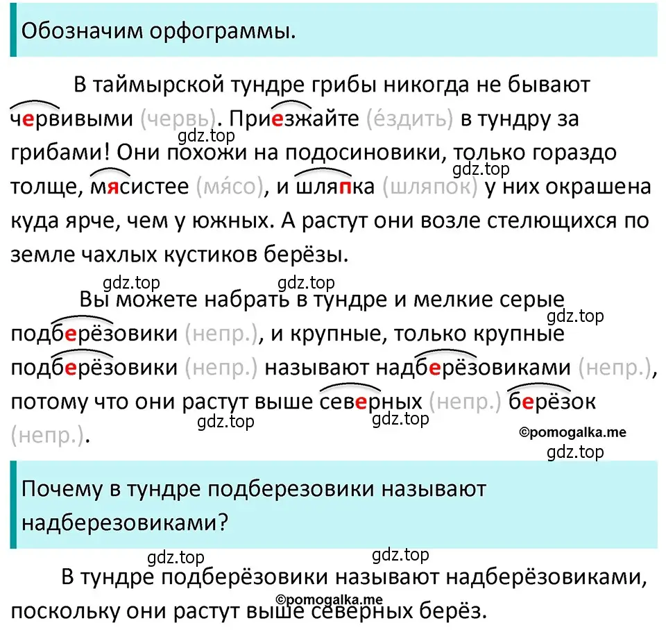 Решение 4. номер 135 (страница 51) гдз по русскому языку 5 класс Разумовская, Львова, учебник 1 часть