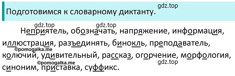 Решение 4. номер 175 (страница 62) гдз по русскому языку 5 класс Разумовская, Львова, учебник 1 часть