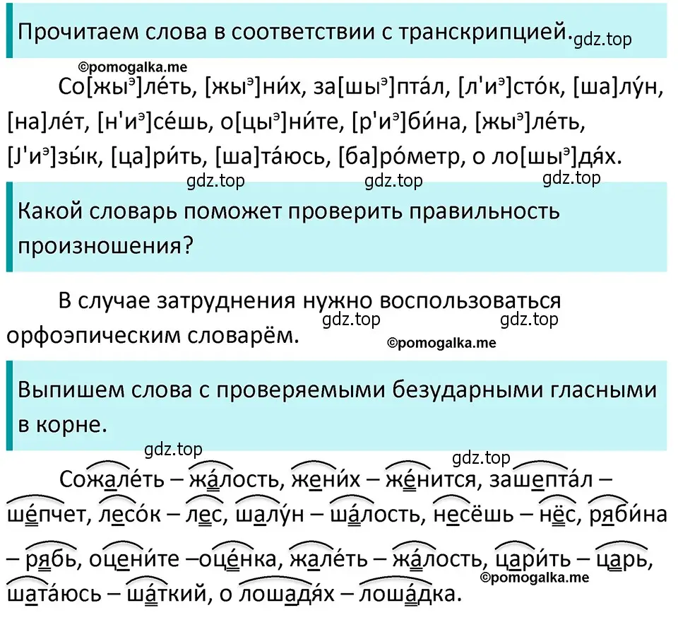 Решение 4. номер 221 (страница 78) гдз по русскому языку 5 класс Разумовская, Львова, учебник 1 часть