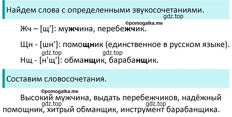 Решение 4. номер 231 (страница 81) гдз по русскому языку 5 класс Разумовская, Львова, учебник 1 часть