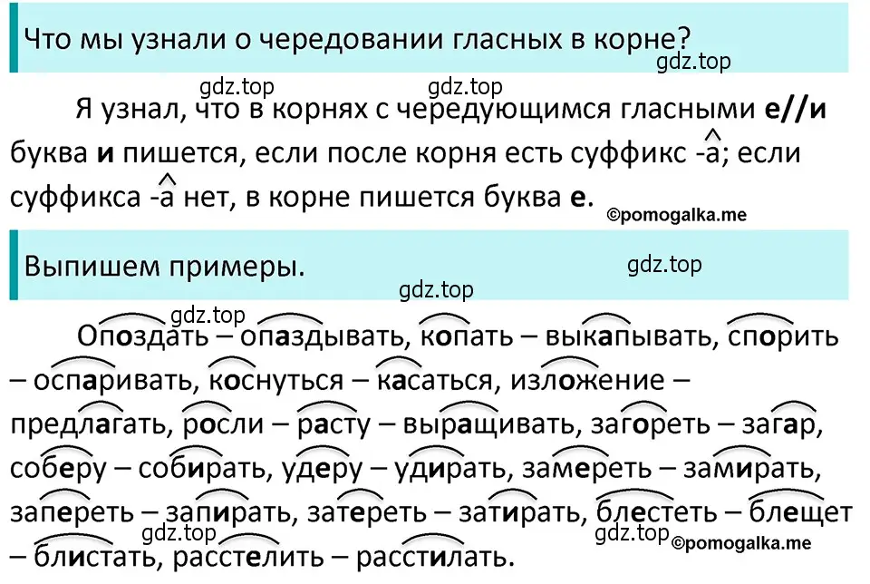 Решение 4. номер 263 (страница 90) гдз по русскому языку 5 класс Разумовская, Львова, учебник 1 часть