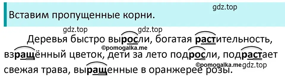 Решение 4. номер 272 (страница 94) гдз по русскому языку 5 класс Разумовская, Львова, учебник 1 часть