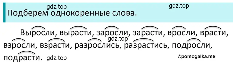 Решение 4. номер 273 (страница 94) гдз по русскому языку 5 класс Разумовская, Львова, учебник 1 часть