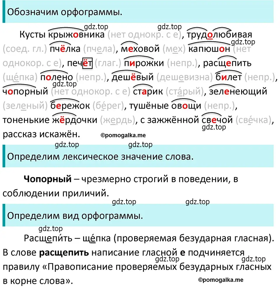 Решение 4. номер 281 (страница 96) гдз по русскому языку 5 класс Разумовская, Львова, учебник 1 часть