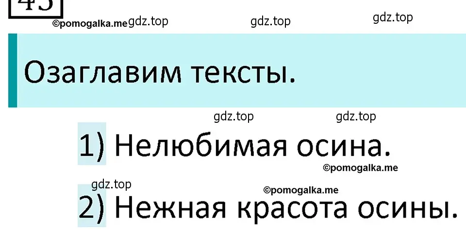 Решение 4. номер 31 (страница 19) гдз по русскому языку 5 класс Разумовская, Львова, учебник 1 часть