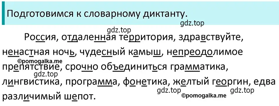 Решение 4. номер 341 (страница 117) гдз по русскому языку 5 класс Разумовская, Львова, учебник 1 часть