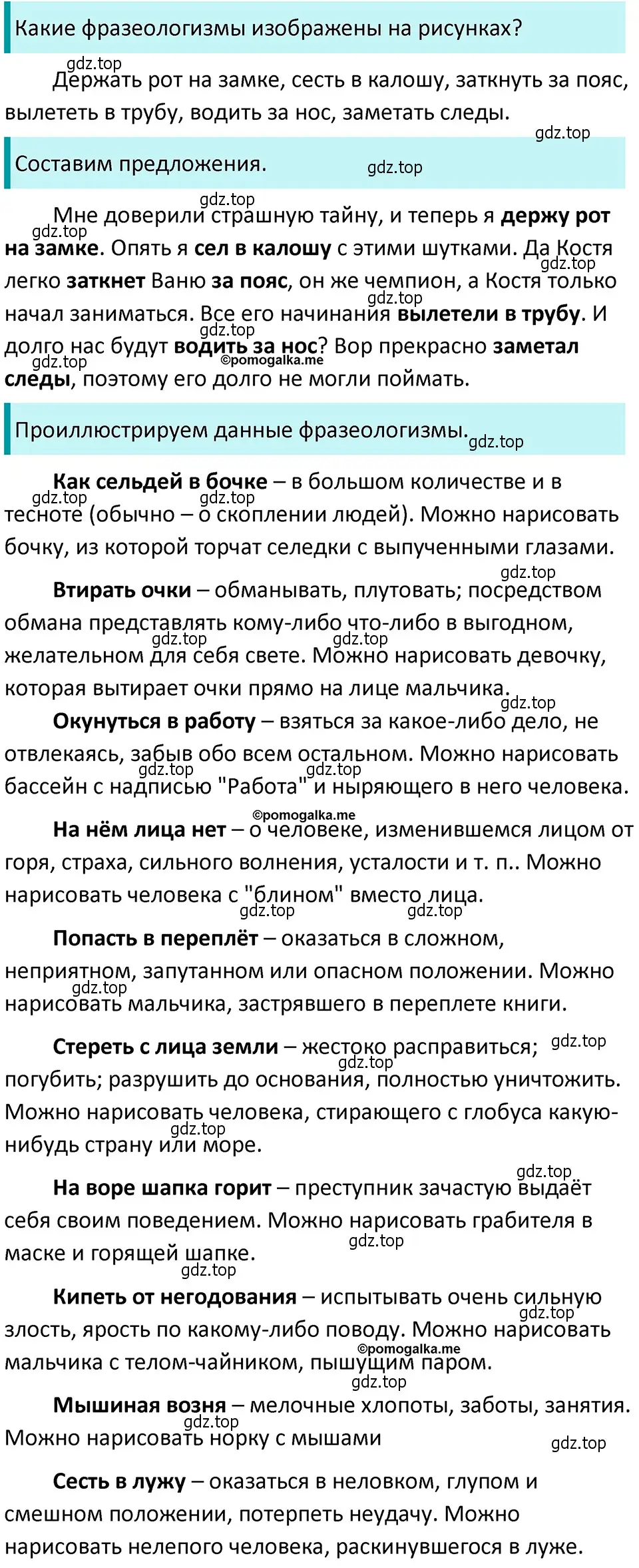 Решение 4. номер 348 (страница 118) гдз по русскому языку 5 класс Разумовская, Львова, учебник 1 часть