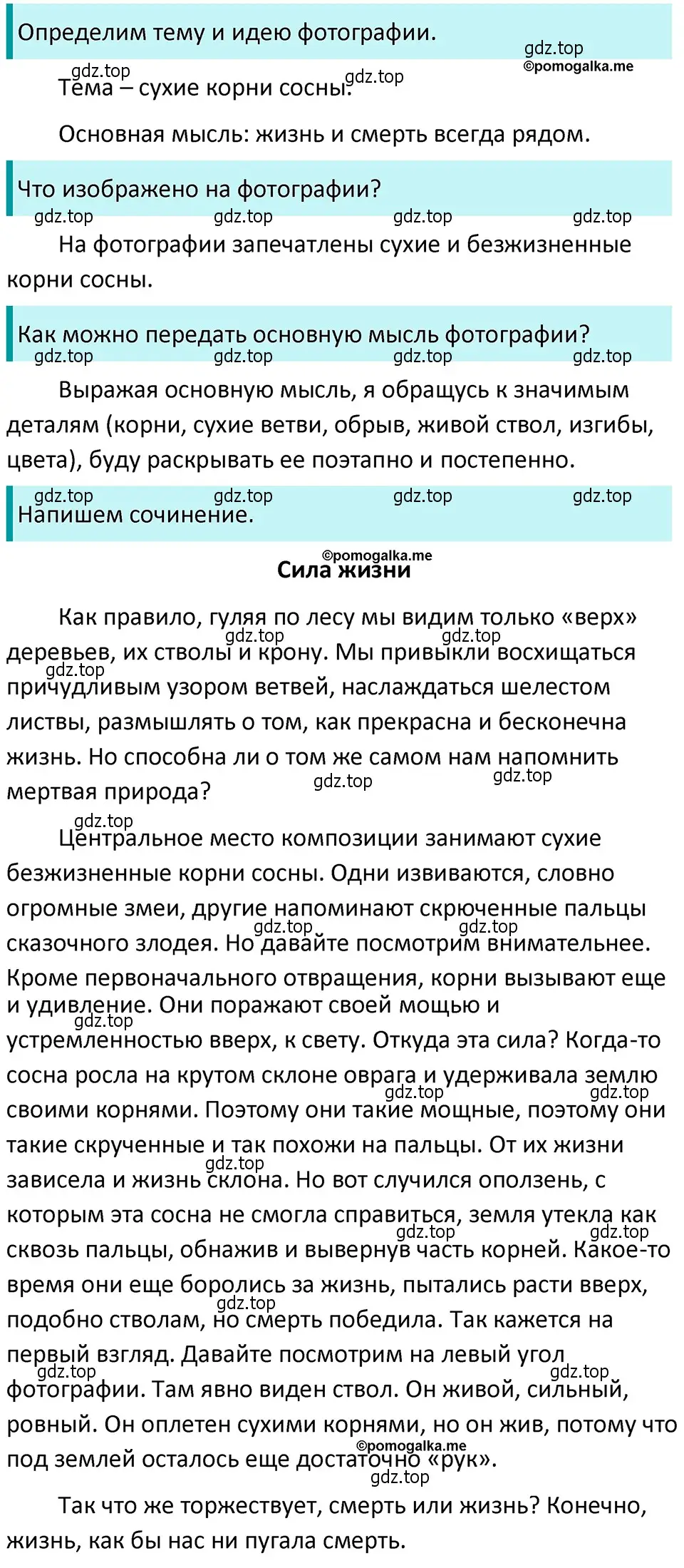 Решение 4. номер 36 (страница 20) гдз по русскому языку 5 класс Разумовская, Львова, учебник 1 часть