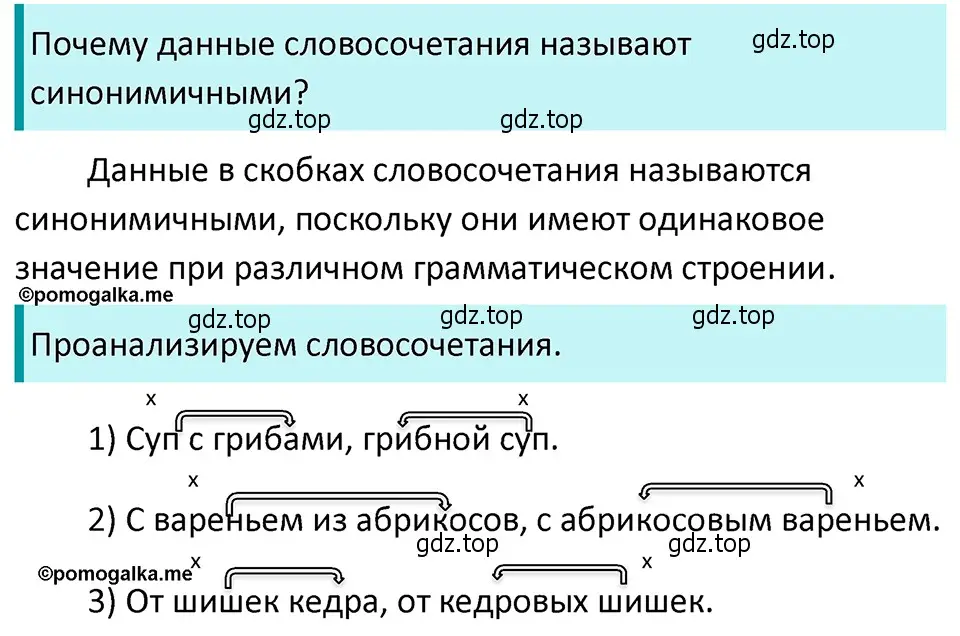 Решение 4. номер 393 (страница 9) гдз по русскому языку 5 класс Разумовская, Львова, учебник 2 часть