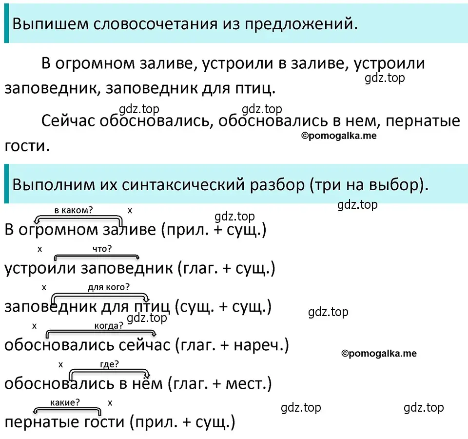 Решение 4. номер 396 (страница 11) гдз по русскому языку 5 класс Разумовская, Львова, учебник 2 часть