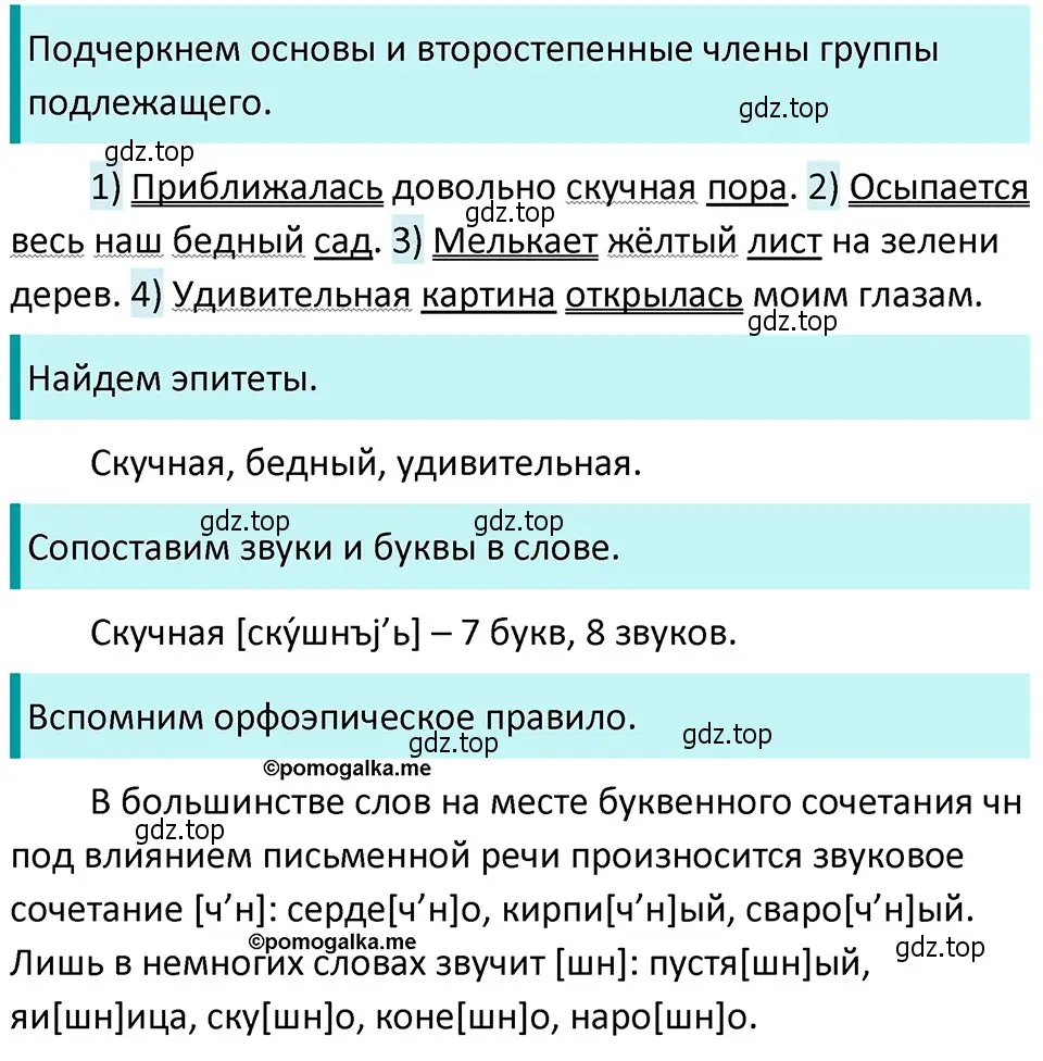 Решение 4. номер 446 (страница 28) гдз по русскому языку 5 класс Разумовская, Львова, учебник 2 часть