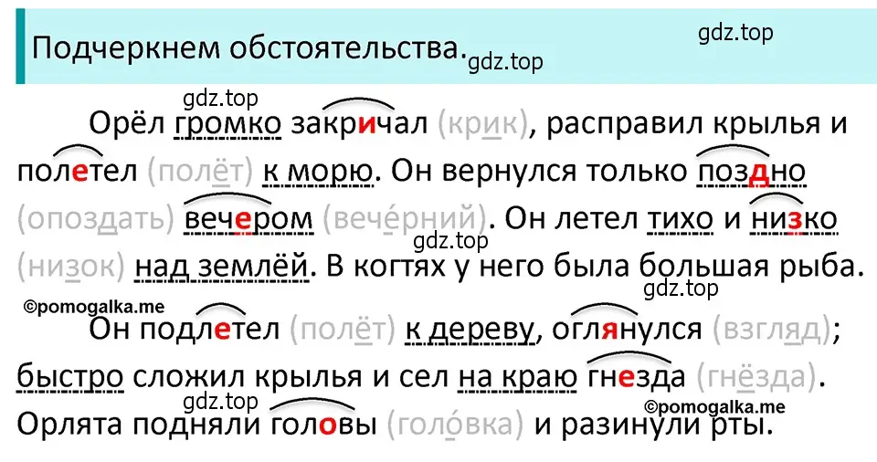 Решение 4. номер 456 (страница 31) гдз по русскому языку 5 класс Разумовская, Львова, учебник 2 часть