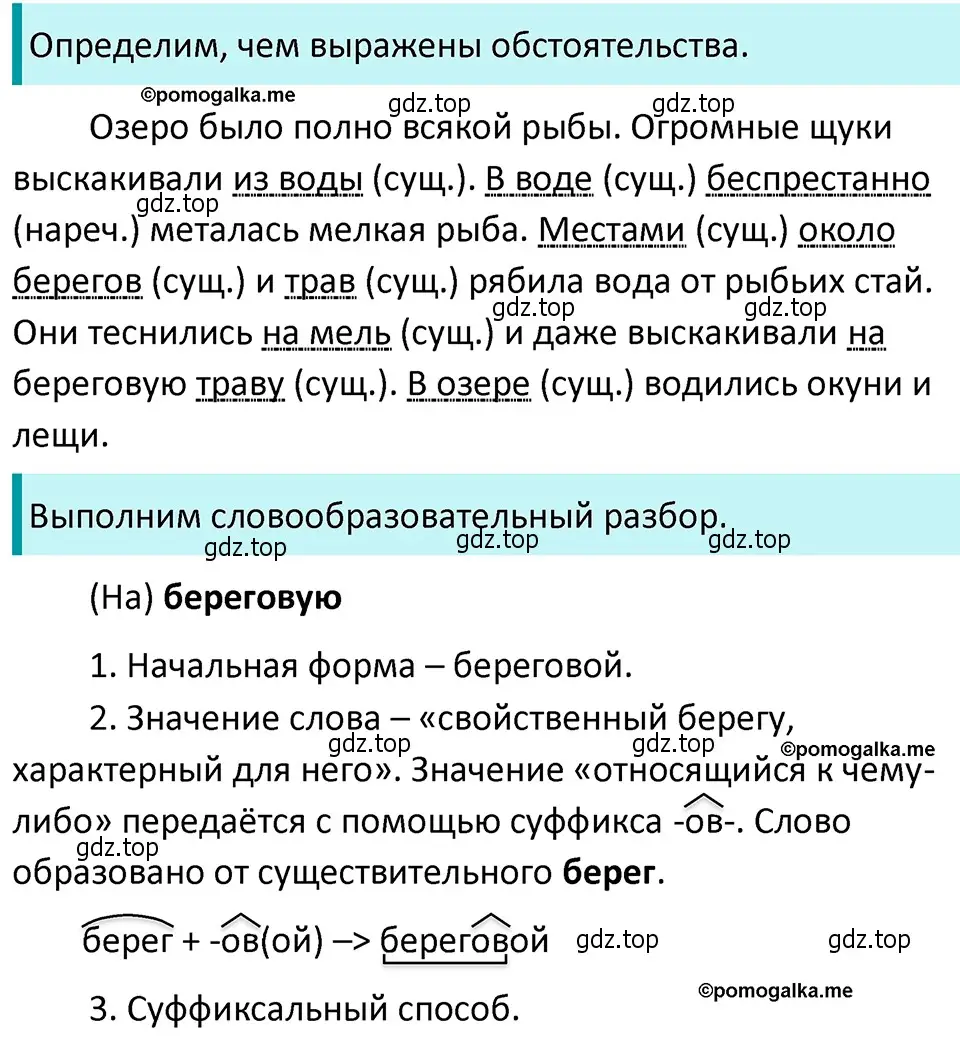 Решение 4. номер 458 (страница 31) гдз по русскому языку 5 класс Разумовская, Львова, учебник 2 часть