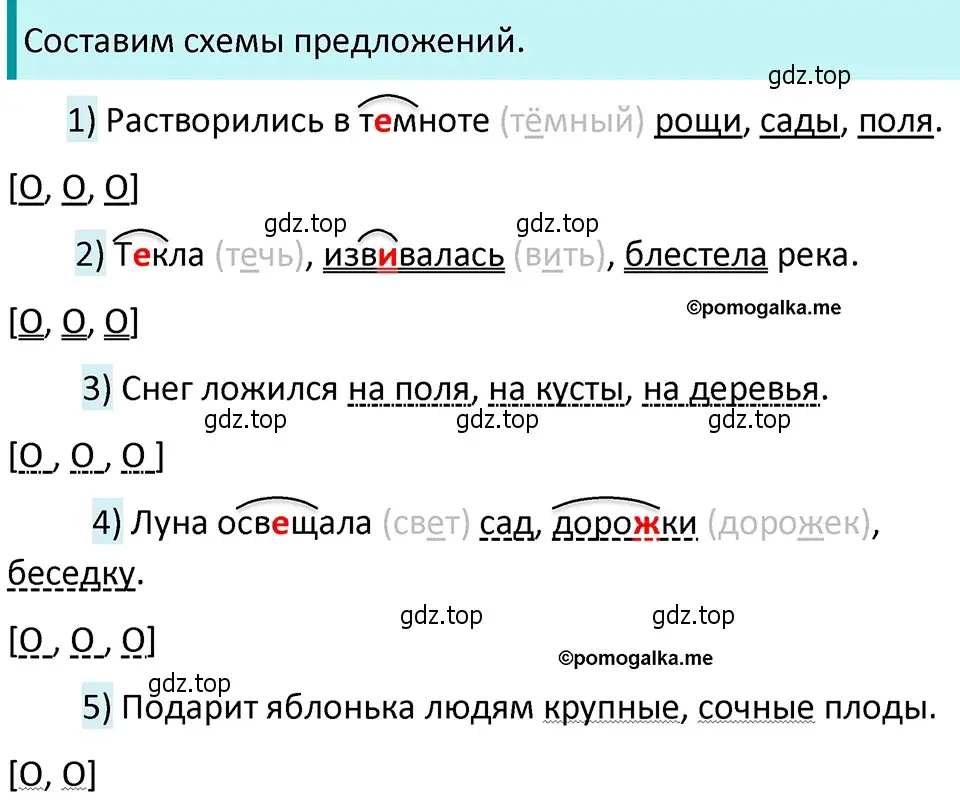 Решение 4. номер 462 (страница 33) гдз по русскому языку 5 класс Разумовская, Львова, учебник 2 часть