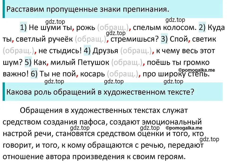 Решение 4. номер 487 (страница 39) гдз по русскому языку 5 класс Разумовская, Львова, учебник 2 часть