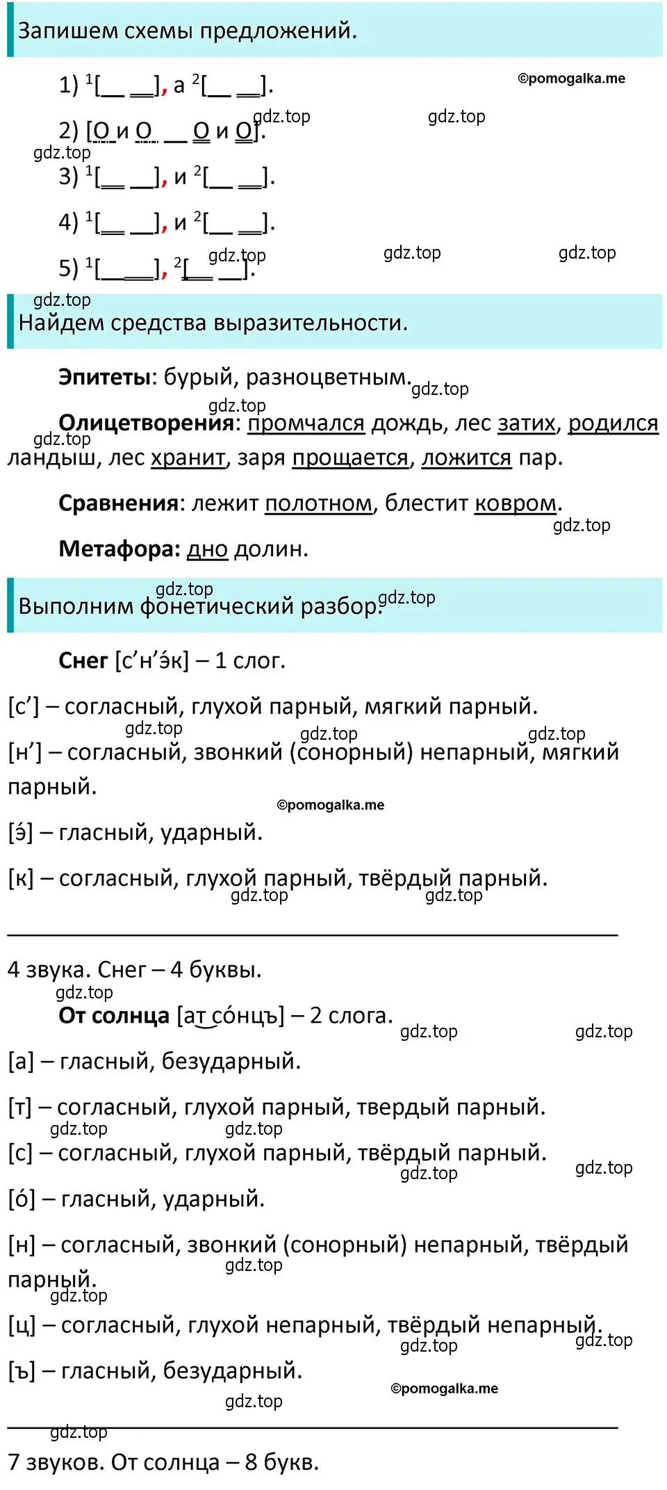 Решение 4. номер 504 (страница 45) гдз по русскому языку 5 класс Разумовская, Львова, учебник 2 часть