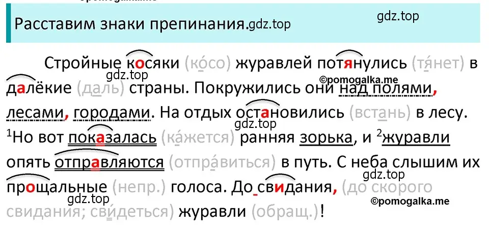 Решение 4. номер 533 (страница 53) гдз по русскому языку 5 класс Разумовская, Львова, учебник 2 часть
