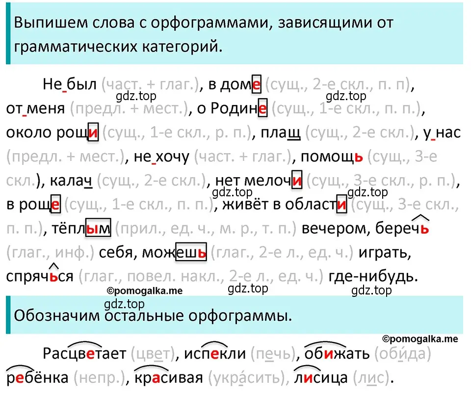 Решение 4. номер 570 (страница 67) гдз по русскому языку 5 класс Разумовская, Львова, учебник 2 часть