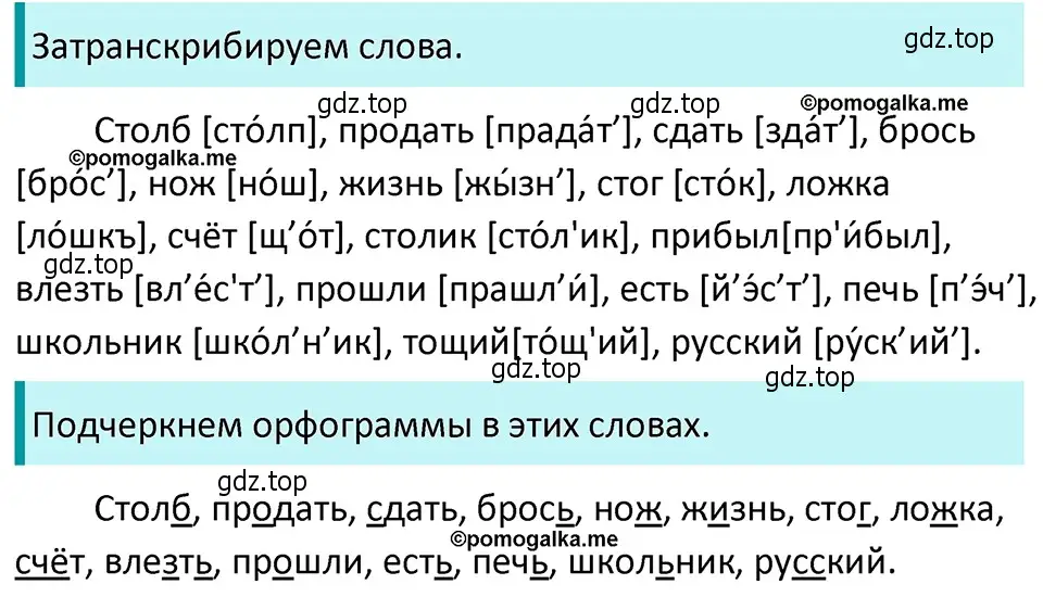 Решение 4. номер 59 (страница 29) гдз по русскому языку 5 класс Разумовская, Львова, учебник 1 часть