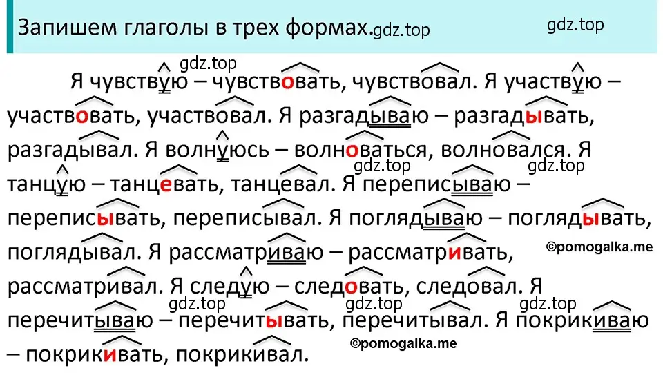 Решение 4. номер 591 (страница 74) гдз по русскому языку 5 класс Разумовская, Львова, учебник 2 часть