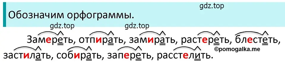 Решение 4. номер 593 (страница 75) гдз по русскому языку 5 класс Разумовская, Львова, учебник 2 часть