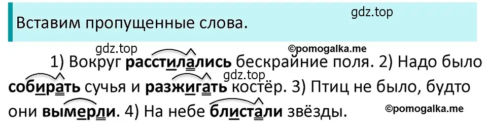 Решение 4. номер 595 (страница 75) гдз по русскому языку 5 класс Разумовская, Львова, учебник 2 часть