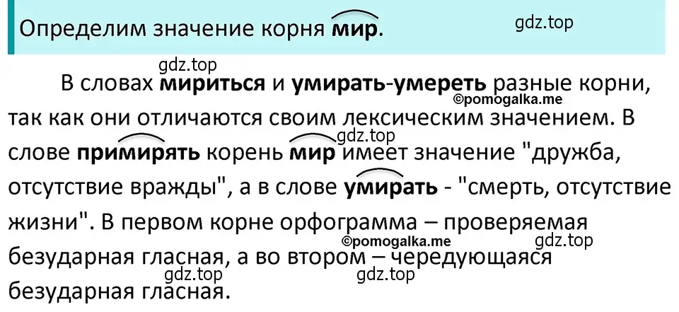 Решение 4. номер 596 (страница 75) гдз по русскому языку 5 класс Разумовская, Львова, учебник 2 часть