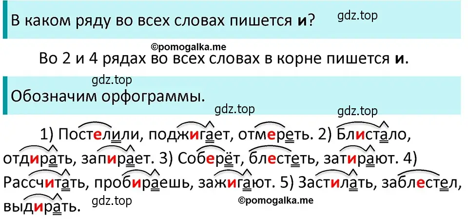 Решение 4. номер 597 (страница 75) гдз по русскому языку 5 класс Разумовская, Львова, учебник 2 часть