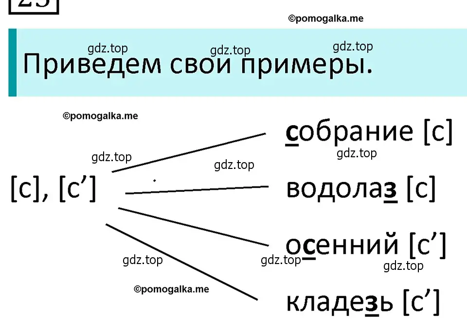 Решение 4. номер 60 (страница 30) гдз по русскому языку 5 класс Разумовская, Львова, учебник 1 часть