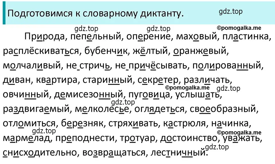 Решение 4. номер 744 (страница 128) гдз по русскому языку 5 класс Разумовская, Львова, учебник 2 часть