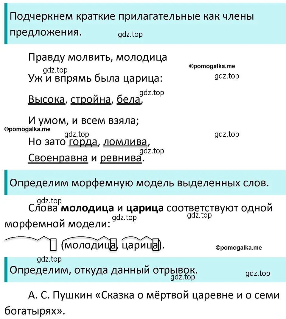 Решение 4. номер 767 (страница 137) гдз по русскому языку 5 класс Разумовская, Львова, учебник 2 часть