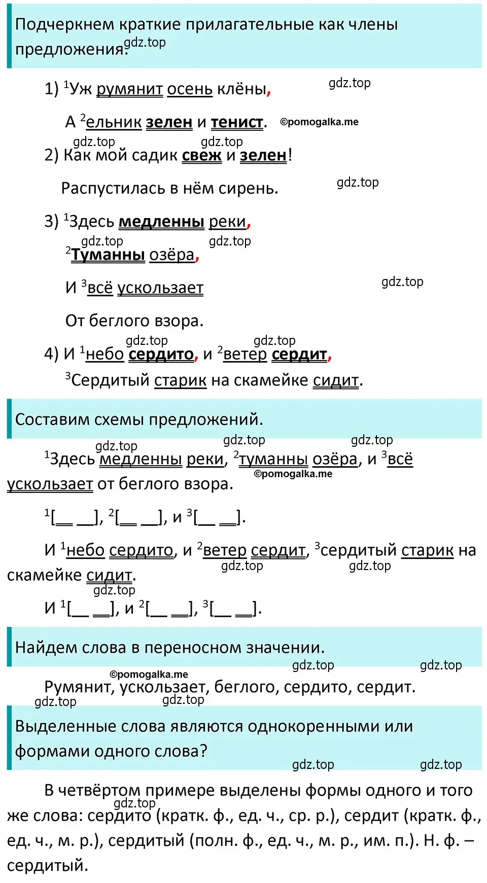Решение 4. номер 768 (страница 137) гдз по русскому языку 5 класс Разумовская, Львова, учебник 2 часть