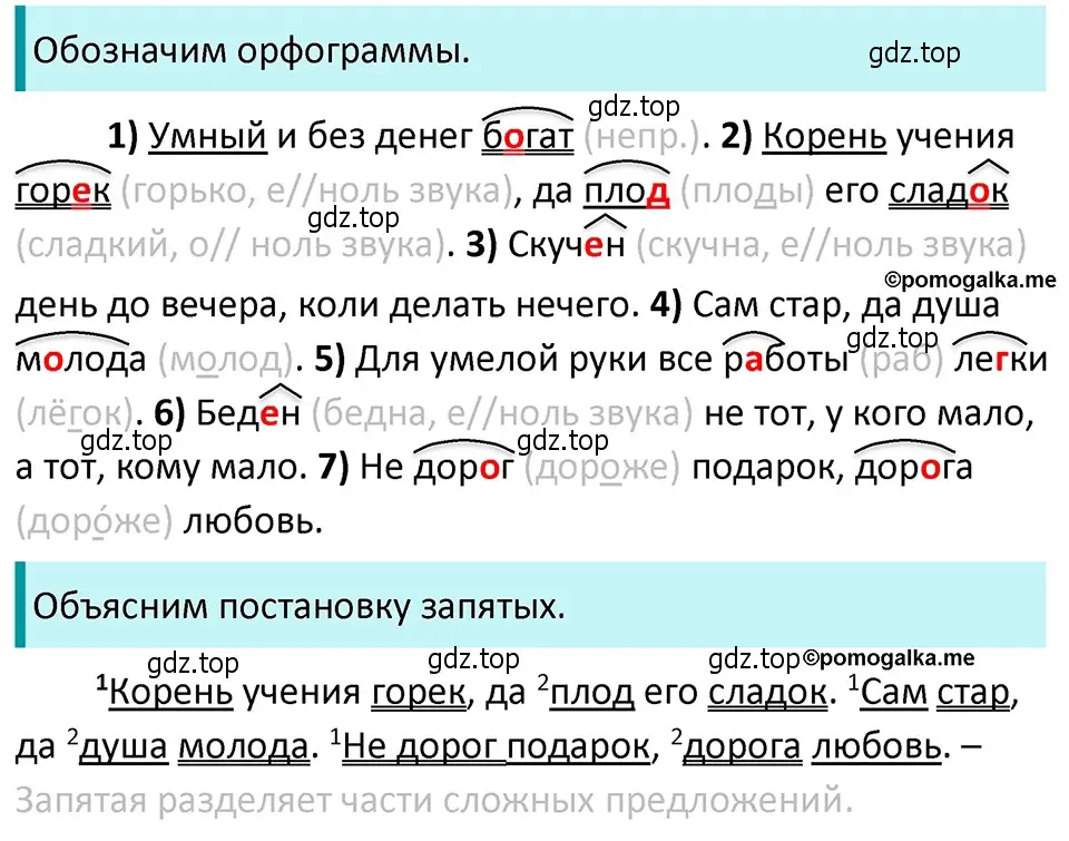 Решение 4. номер 769 (страница 138) гдз по русскому языку 5 класс Разумовская, Львова, учебник 2 часть