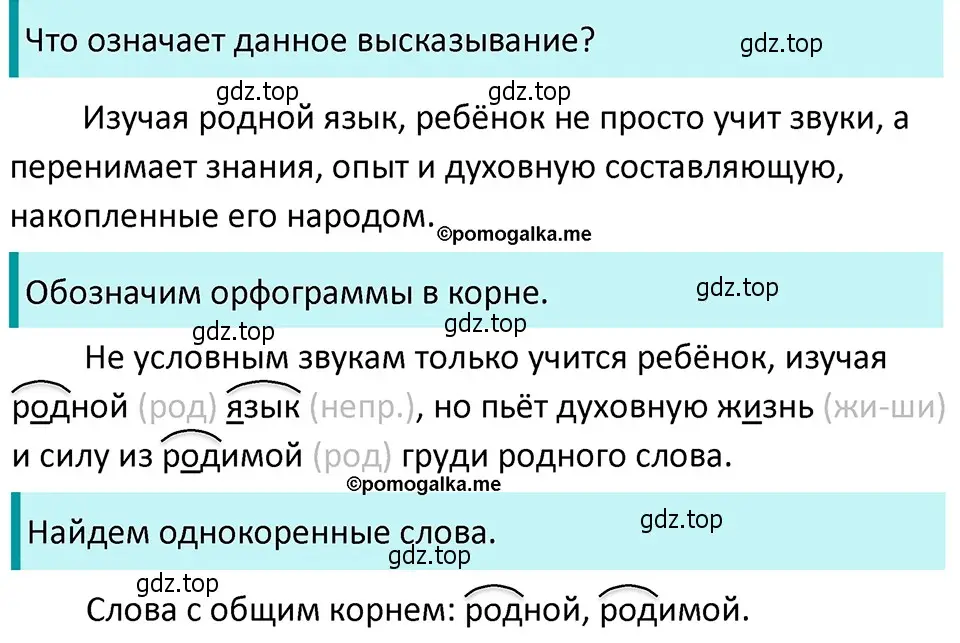 Решение 4. номер 81 (страница 35) гдз по русскому языку 5 класс Разумовская, Львова, учебник 1 часть