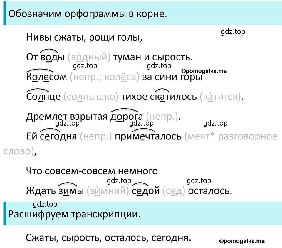Решение 4. номер 82 (страница 36) гдз по русскому языку 5 класс Разумовская, Львова, учебник 1 часть